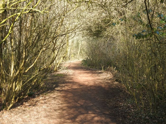 This photo instantly made me think of Frodo and the the other Hobbits fleeing down the path from the pursuing Nazgul.