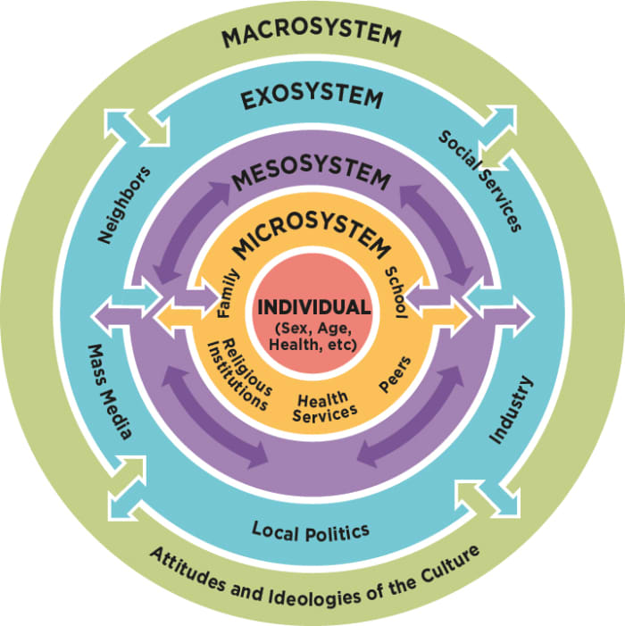 human-services-client-interaction-ecosystem-strength-perspectives