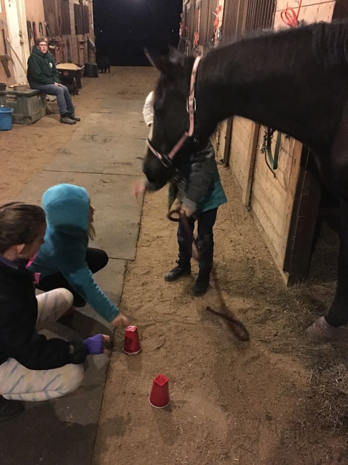 Take advantage of unmounted lessons, camps, clinics and other opportunities for your child to learn what else is involved in the horses besides just riding them.