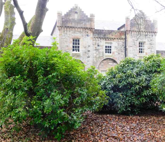 Fullarton Woods Troon South Ayrshire Scotland HubPages