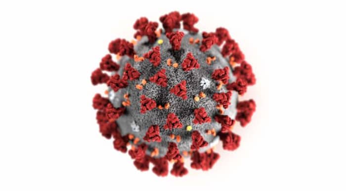 Under the electron microscope, those red protuberances look like the Sun's corona