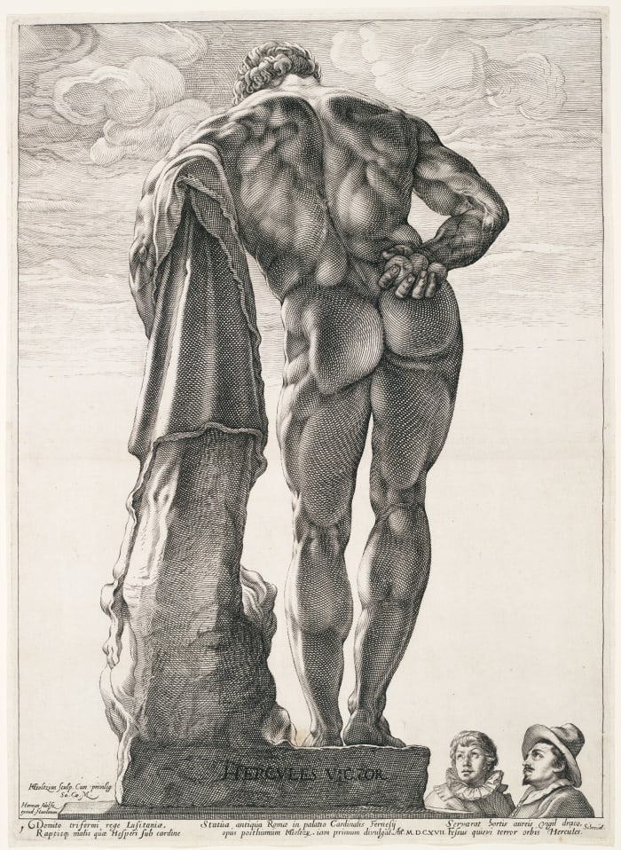The large muscles of the gluteals and hamstrings can be compared here to the smaller muscles of the upper limbs, in this drawing portraying Hercules