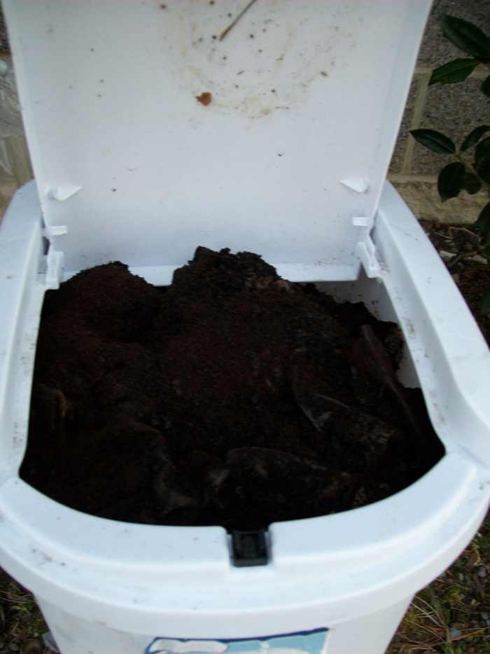Using Starbucks Coffee Grounds In Your Garden HubPages