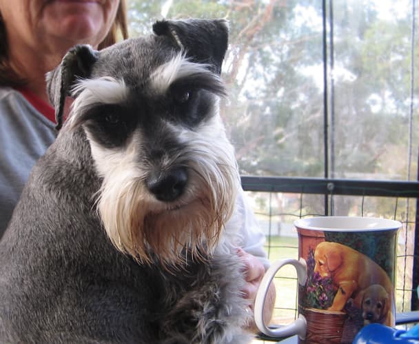 We often drop into my mates place at Lakes Entrance for coffee. Whatever that is?