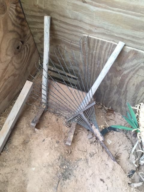 This is a toy wheelbarrow from my childhood and my father's antique rake. They are partially covered by the groundhog's diggings.