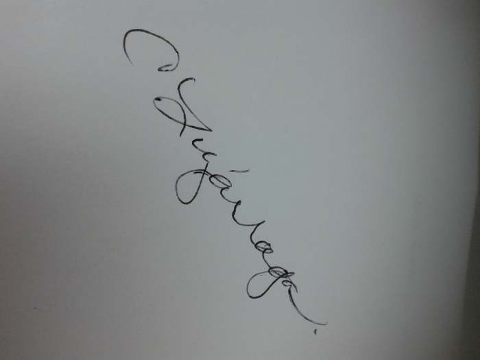 My personal, legal signature is 'C Luzarraga." (Sometimes, I sign my nickname BibiLuzarraga; apparently, I am a victim of identity theft.)