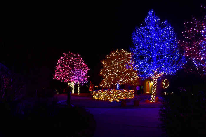 Driving Tour of Holiday Lights in South Metro Denver - WanderWisdom