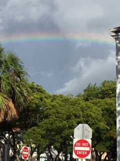 July 13, 2016 @ 7:50am. This caption was taken over the Emancipation Garden Down Town Charlotte Amalie, St. Thomas USVI.