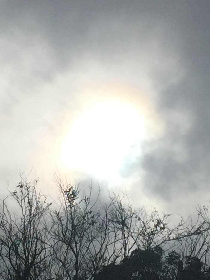 It was a day after hurricane Marie. Captured on September 26, 2017 @ 3:49 pm A sunbow right above the trees right before sunset over the mountain top. Incredible