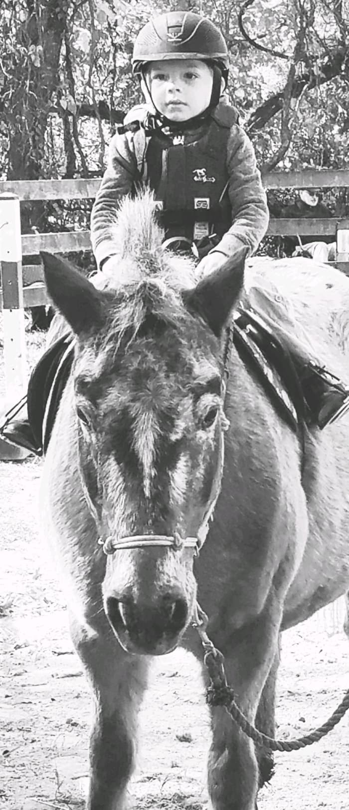 How young is too young for a child to start riding lessons? This is my nephew, age 3 1/2 at the time. He is not in lessons yet, but being in a "horsey family" he has had a lot of time in the saddle for his age.