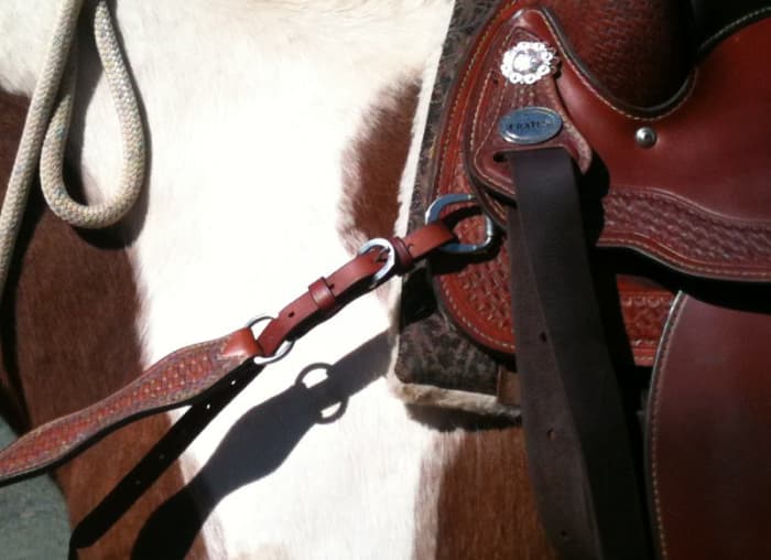 The breast collar attaches to both sides of the saddle, and between the front legs on the cinch.