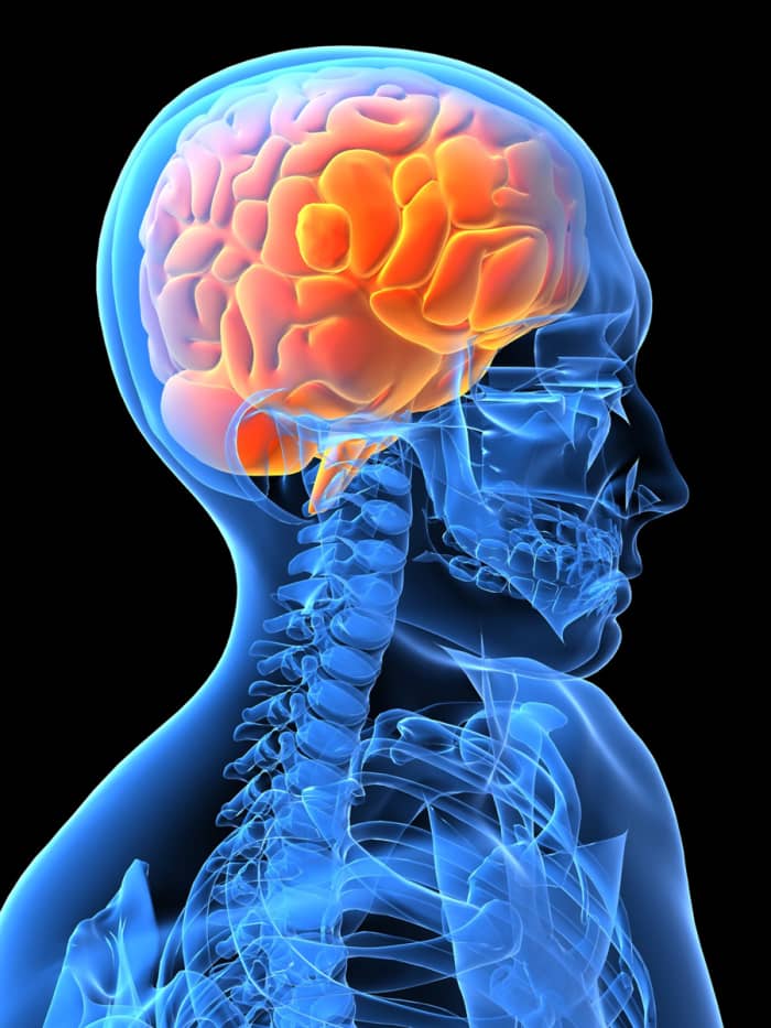 Chemical influences on the brain are not fully understood. Pernicious chemicals are produced by the food industry and have no real value except to trick the brain into spending money on their product.
