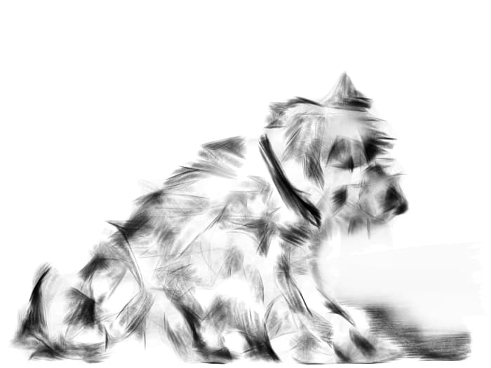 My mother ad sister's picture of favorite dog 'Archie'. My favorite doggie.