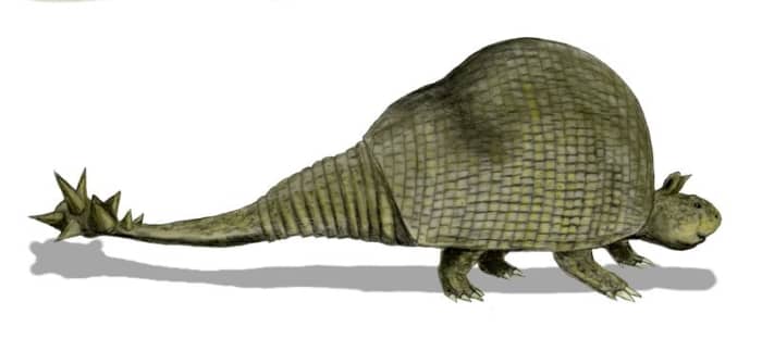 This is doedicurus, the giant relative of the armadillo with its fearsome spiked tail.