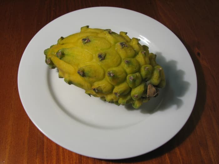 Yellow Dragonfruit: The Sweetest Pitaya of All - HubPages