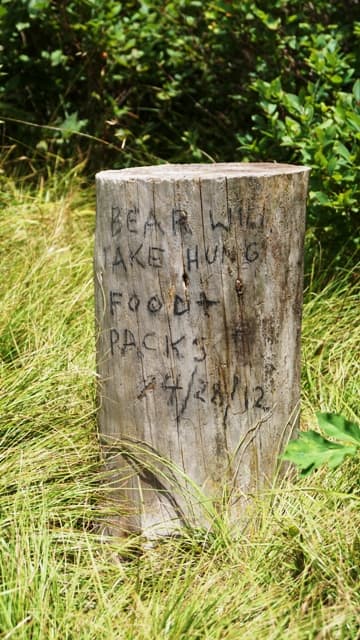 Using bear canisters could have helped these people. Wildlife encounters are common in the wilderness.