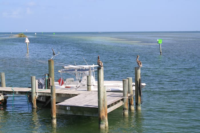 florida-keys-information-fun-facts-hubpages