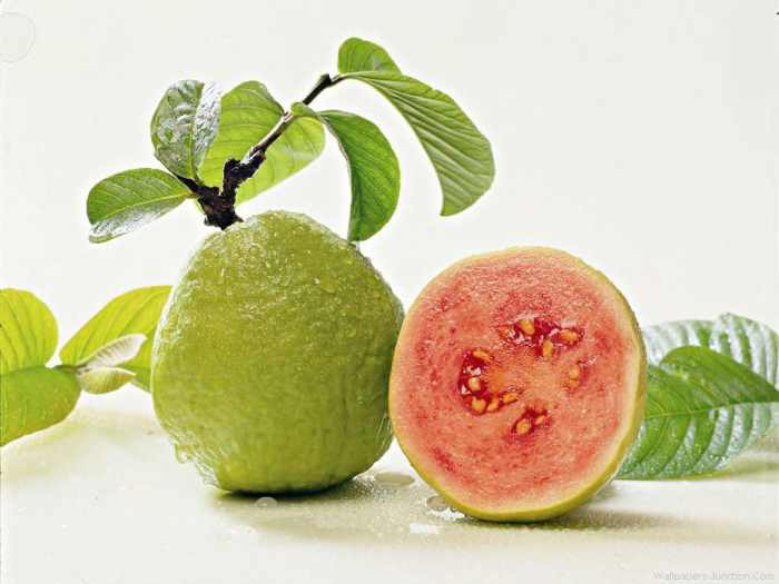 Uses of Guava Tree HubPages