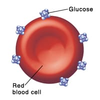 How Does a Glucose Meter Work? - YouMeMindBody