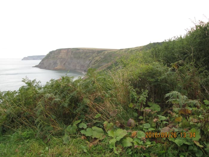 The view east from the footpath down to the shore - a cliff fall rendered the lower footpath impassible. However...