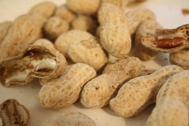 Get a bucket of free peanuts and throw the shells on the floor when you dine with free food coupons from Logan's Roadhouse.