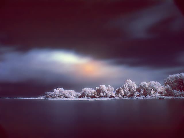 Tree symbolism includes the dream tree as a link bridging and bringing together both heaven and earth.
