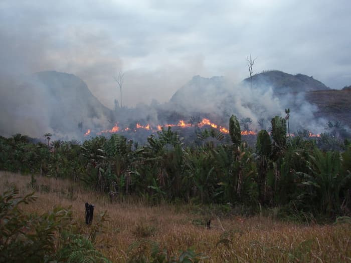 This photos the illegal destruction of forest in Madagascar, it also highlights the shifting slash and burn method used by the farmers.