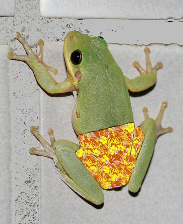 I was told once the only reason someone clicked on my article is because this photo showed up and she wanted to know why. Inspire laughter and curiosity with your photos!