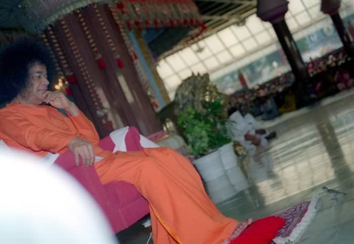 A rare photograph which I captured one afternoon in 1999 when a sparrow and Swami kept looking at each other! :)