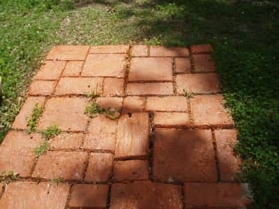 My walkway sprayed painted terra cotta, spritzed with black paint and sealed with clear concrete sealer