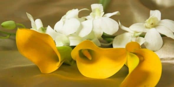 Availability is just one of the reasons to go with this for your bridal flowers. Ease of design, and an eye on the budget are two more factors in favor of this theme.