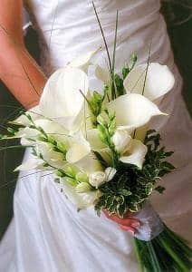 In the classic white bouquet, only a few will be needed with some floral accents and variegated foliage. It creates a fresh and artistic flower bouquet that won't look fussy or "over the top". Found on iweddingnews.com/