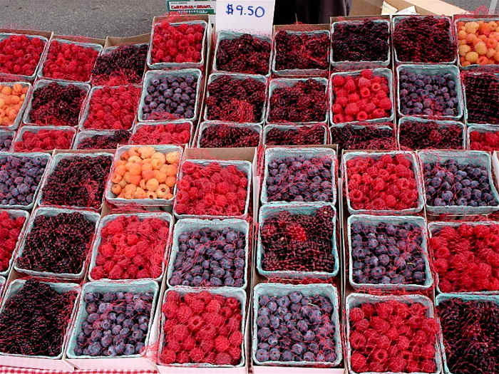 Blackberries| Berry textures | Raspberries | Berries as aliments | Santa Monica | CaliforniaBlueberries