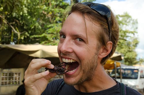 This one is busted as a myth or urban legend. Almost no one swallows a spider while they are asleep. The fellow in the photo above is eating fried tarantulas which is a delacacy in Cambodia.