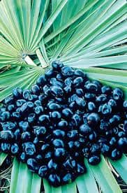 Saw Palmetto work very well at decreasing prostate inflammation .Sometime use alone or in-conjunction with other herbs.