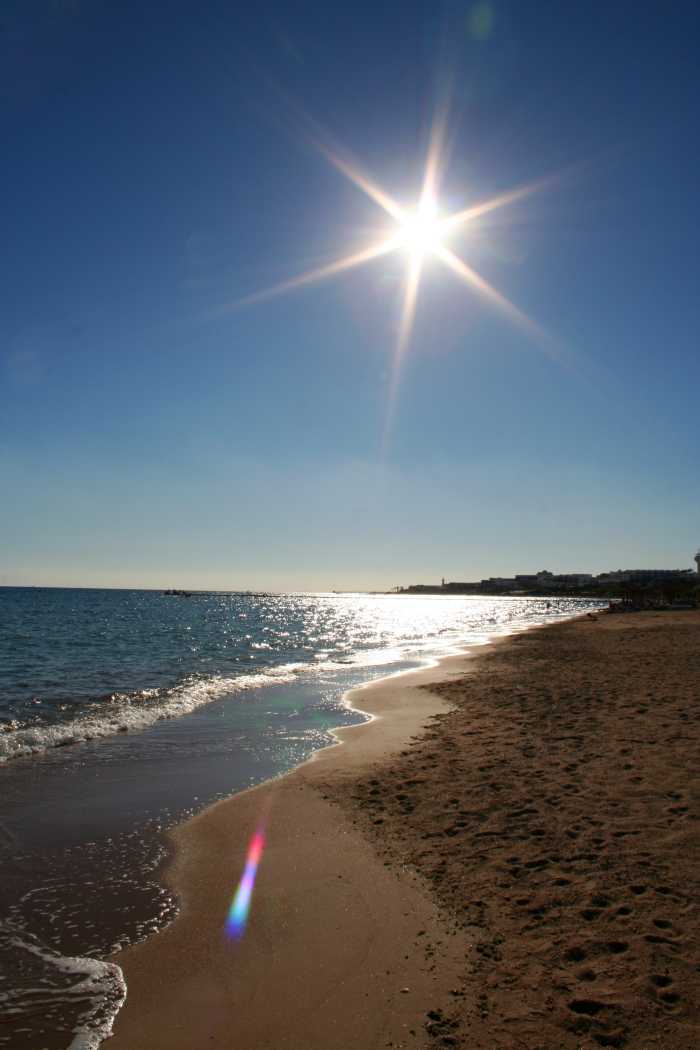 Essential Oils That Cause Sun Sensitivity HubPages