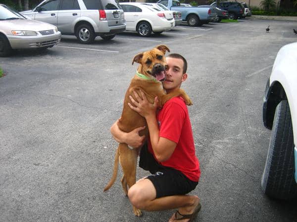 This is Xena the Warrior Princess, my son's first baby. She is a mix breed of Pit Bull, Lab, and German Shepherd.