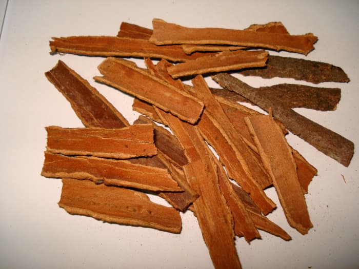 Cinnamon harvested in Pakistan. This spice is actually the bark from the cinnamon tree.