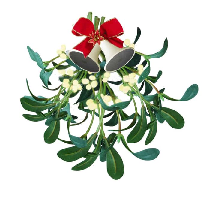 Mistletoe, another pre-Christian favourite for Christmas. How did kissing under the mistletoe get to be associated with a Christian festival?