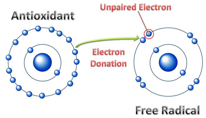 This shows the atom with electrons. The science that studies this is chemistry since the movement of electrons is what determines the chemical reaction. So I know a lot about this since I am a chemist.