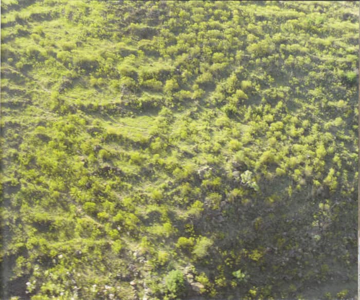 Tellinger: A View of the Ancient Terraces and the complexity of teir structure-aaist a steep slope