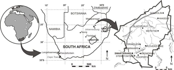 Swartkrans Cave (Gauteng, South Africa), located ~40 km northwest of Johannesburg, in Gauteng Province, South Africa, is one of the world’s most important paleoanthropological sites.(1) the recognition that many of the hominids were collected in the