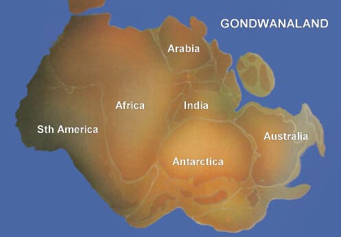 Gondwana included most of the landmasses in today's Southern Hemisphere, including Antarctica, South America, Africa, Madagascar and the Australian continent, as well as the Arabian Peninsula and the Indian subcontinent, which have now moved entirely