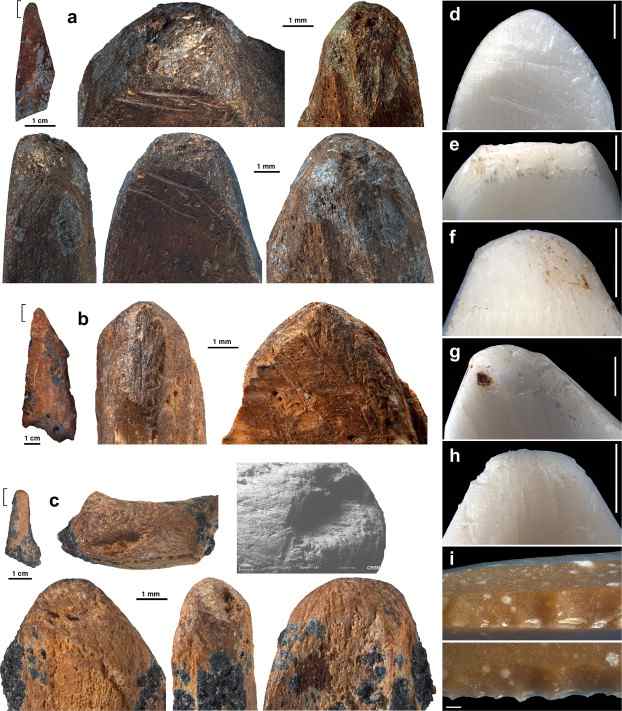 Traces of modification and use recorded on bone tools from post-Howiesons Poort (a), and Howiesons Poort (b–c) layers interpreted as pressure flakers, compared to those produced experimentally in this task (d–h) to retouch lithics (i).
