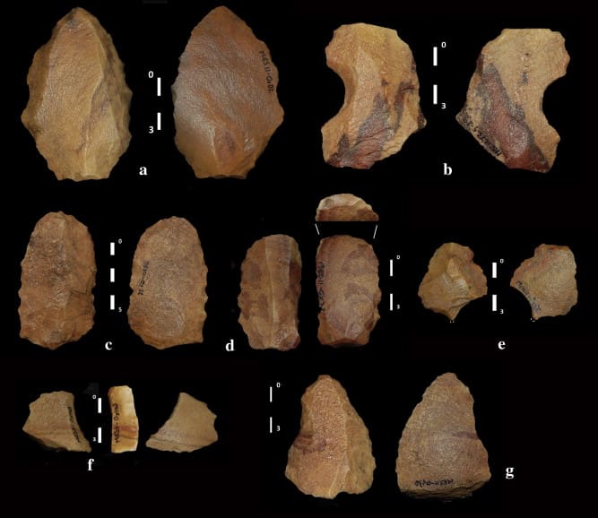 Retouched blanks from MES11: a, g) points, b) notch, c) endscraper, d) truncated piece, e) borer, f) sidescraper.