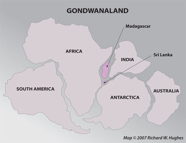 For hundreds of millions of years, all the land of Earth was joined together in one large mass or super continent. Scientists call it Pangaea (meaning "all lands" in Greek) Then about 200 million years ago the land began to drift apart. It broke into