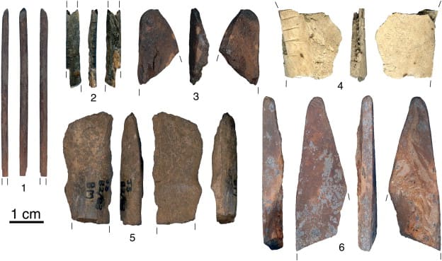 Fig. 2. Bone artefacts from final MSA (n. 1) and Post-Howiesons Poort layers (n. 2–6) at Sibudu Cave.