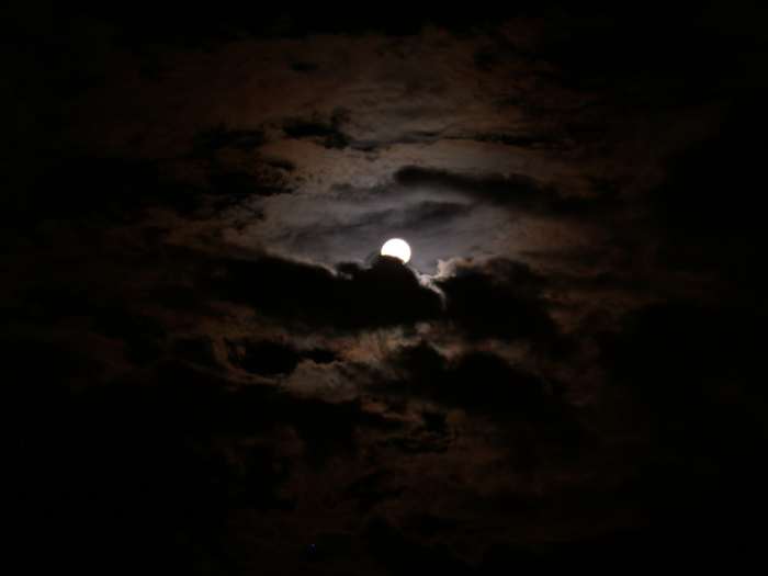 Night, the darkest time, is associated w/harm, even danger.People are warned not to go out at night unless in a crowd for what might befall them.Monsters,vampires,&demons, are associated w/the night. As it's foreboding, people ELECT to stay inside.