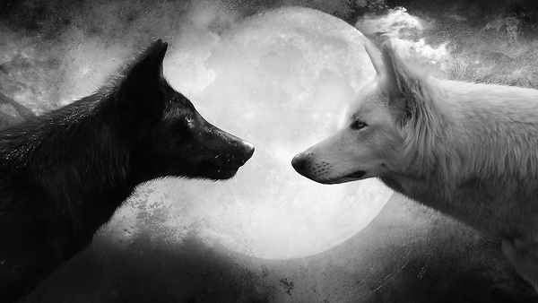 Dark and light were always oppositional. Darkness always had negative, even evil connotations. Darkness was and is perceived as suspect.Lightness has always positive, even beatific connotations. Light is seen as honest, welcoming, even good.