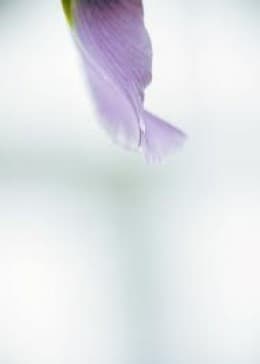 Lightness has a more pleasant connations. It is goodness, purity, and openness. It is happiness and exuberance. It is also uplifting. It is what is proper and on the surface. It is being proper and reputable. It also represents benevolence.